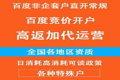 案例解析：百度推广排名提升的实战技巧